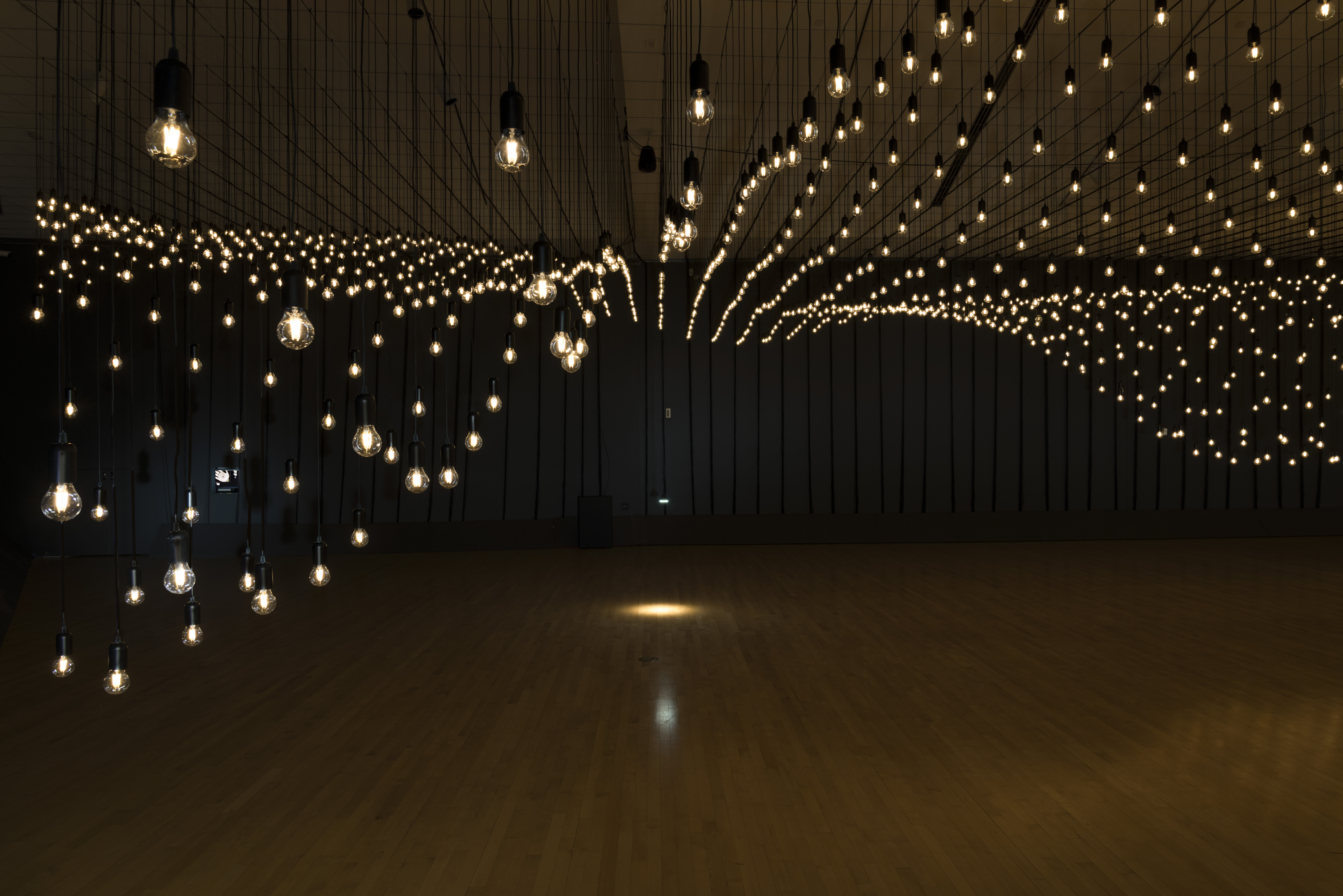 Rafael Lozano-Hemmer: Pulse Topology | Kemper Museum of